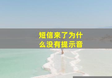 短信来了为什么没有提示音