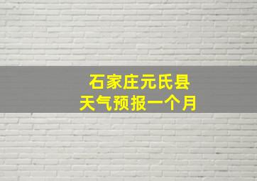 石家庄元氏县天气预报一个月