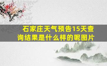 石家庄天气预告15天查询结果是什么样的呢图片