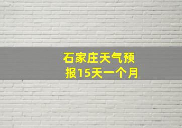 石家庄天气预报15天一个月