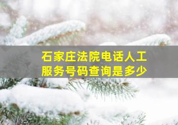 石家庄法院电话人工服务号码查询是多少