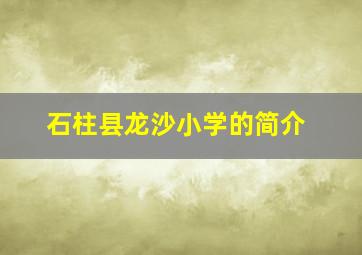 石柱县龙沙小学的简介