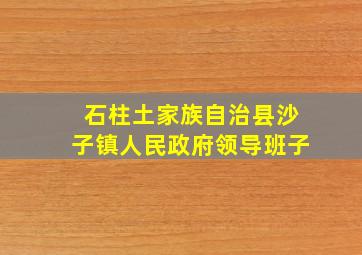 石柱土家族自治县沙子镇人民政府领导班子