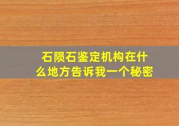 石陨石鉴定机构在什么地方告诉我一个秘密