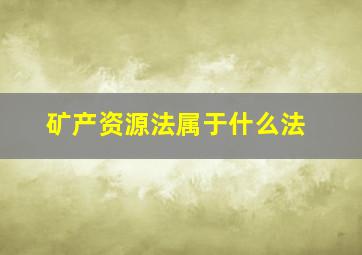 矿产资源法属于什么法