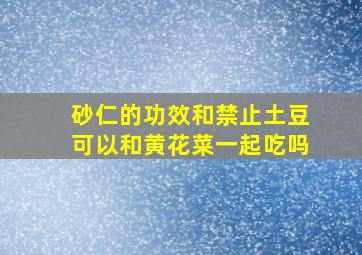 砂仁的功效和禁止土豆可以和黄花菜一起吃吗