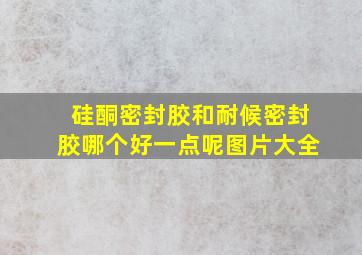 硅酮密封胶和耐候密封胶哪个好一点呢图片大全