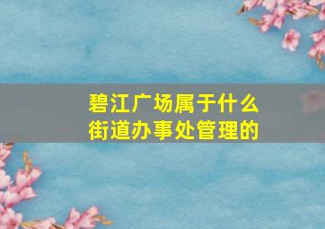 碧江广场属于什么街道办事处管理的