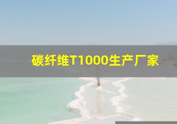 碳纤维T1000生产厂家