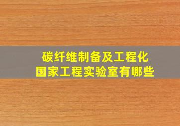 碳纤维制备及工程化国家工程实验室有哪些