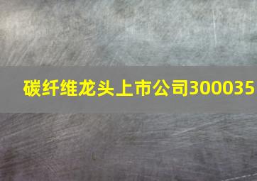 碳纤维龙头上市公司300035