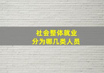 社会整体就业分为哪几类人员