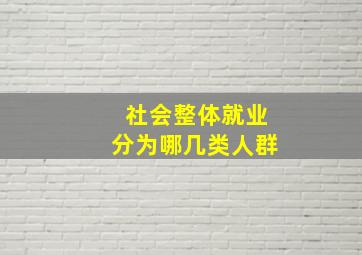 社会整体就业分为哪几类人群