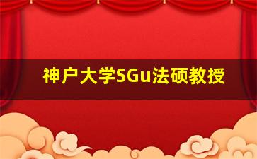 神户大学SGu法硕教授