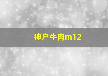 神户牛肉m12