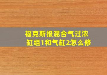 福克斯报混合气过浓缸组1和气缸2怎么修