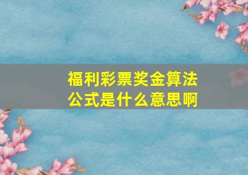 福利彩票奖金算法公式是什么意思啊