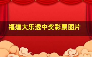 福建大乐透中奖彩票图片