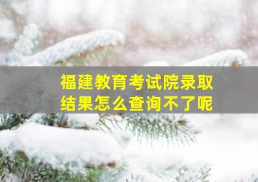 福建教育考试院录取结果怎么查询不了呢