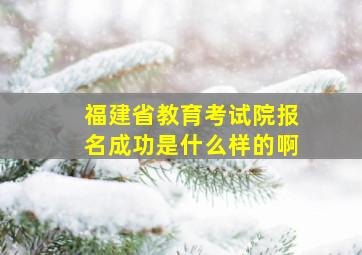 福建省教育考试院报名成功是什么样的啊