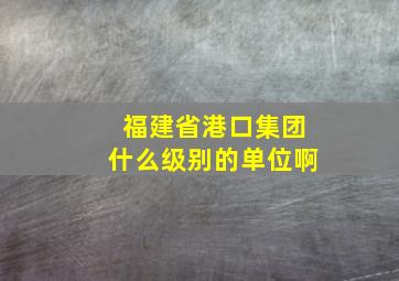 福建省港口集团什么级别的单位啊