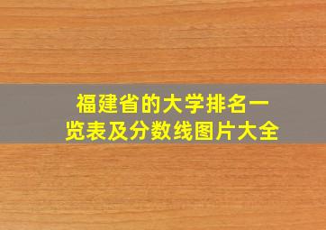 福建省的大学排名一览表及分数线图片大全