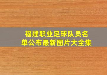 福建职业足球队员名单公布最新图片大全集