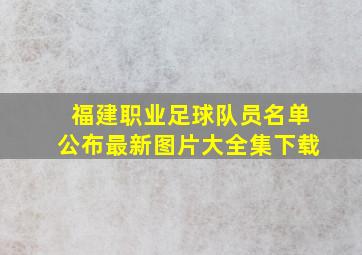 福建职业足球队员名单公布最新图片大全集下载