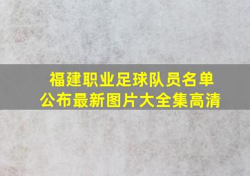 福建职业足球队员名单公布最新图片大全集高清