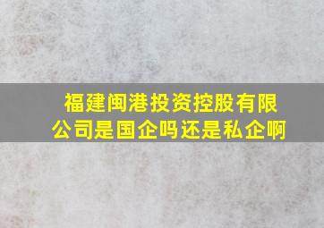 福建闽港投资控股有限公司是国企吗还是私企啊