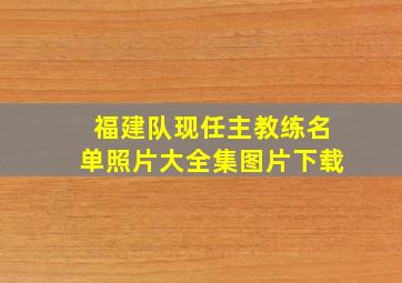 福建队现任主教练名单照片大全集图片下载