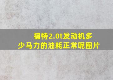 福特2.0t发动机多少马力的油耗正常呢图片