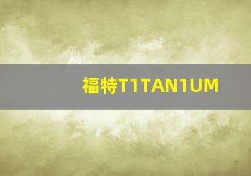 福特T1TAN1UM