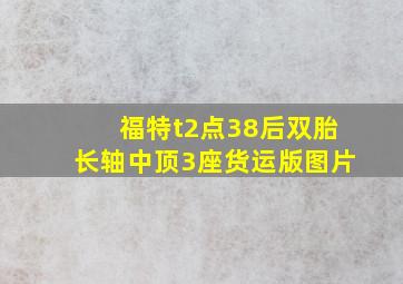 福特t2点38后双胎长轴中顶3座货运版图片