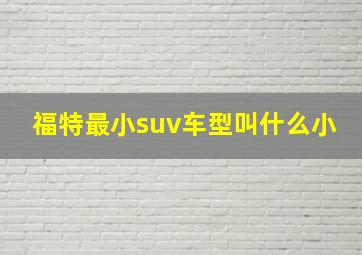 福特最小suv车型叫什么小