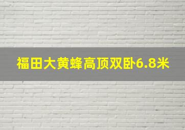 福田大黄蜂高顶双卧6.8米