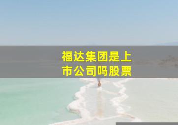 福达集团是上市公司吗股票