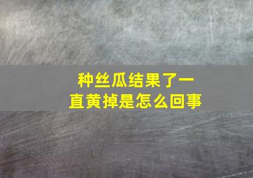 种丝瓜结果了一直黄掉是怎么回事