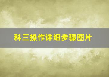 科三操作详细步骤图片