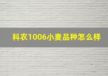 科农1006小麦品种怎么样