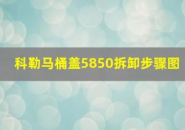 科勒马桶盖5850拆卸步骤图