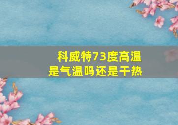 科威特73度高温是气温吗还是干热