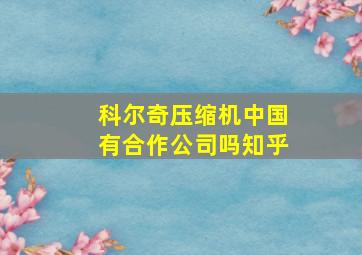 科尔奇压缩机中国有合作公司吗知乎