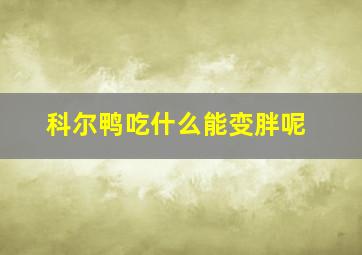 科尔鸭吃什么能变胖呢