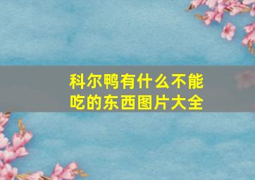 科尔鸭有什么不能吃的东西图片大全