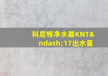 科尼特净水器KNT–17出水量