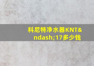 科尼特净水器KNT–17多少钱