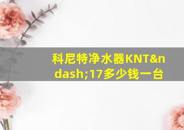 科尼特净水器KNT–17多少钱一台