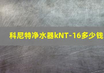 科尼特净水器kNT-16多少钱