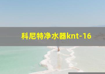 科尼特净水器knt-16